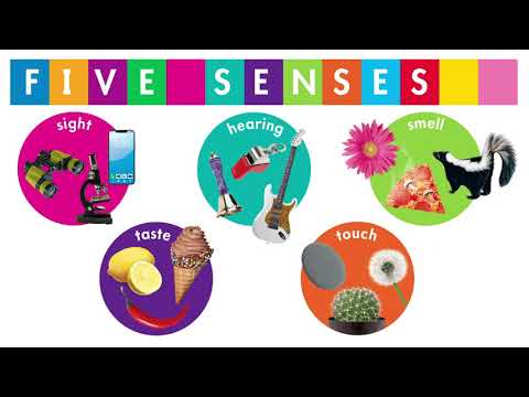 Early FUNdamental Skills Learning Set